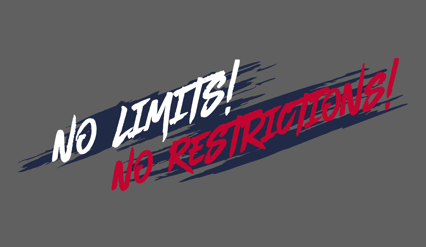 No Limits No Restrictions ~ Trucker Snapback Hat - Heather Grey w/ Stars & Stripes
